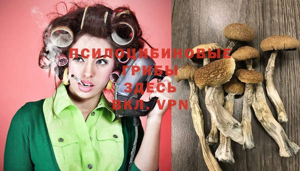 спайс Белая Холуница